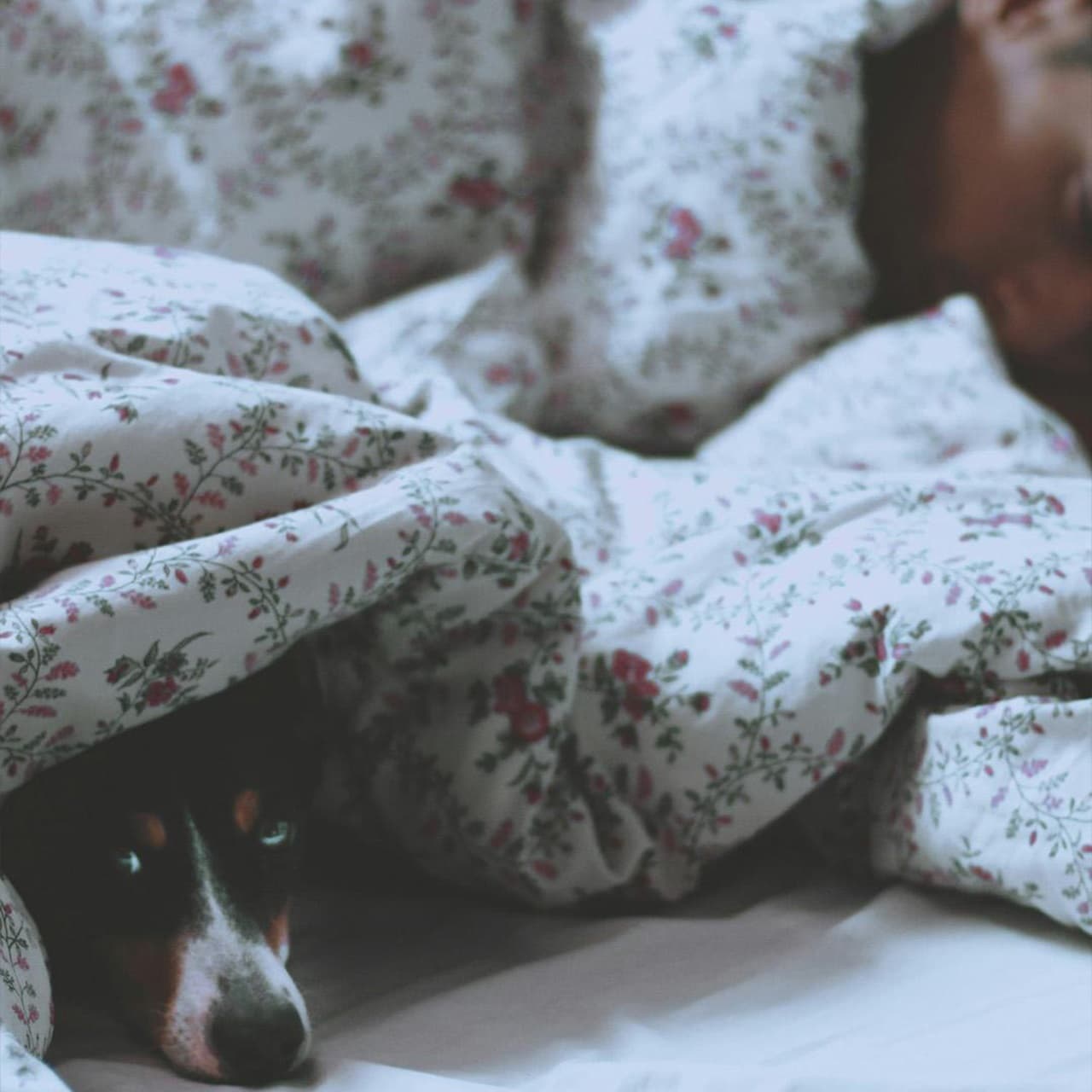 Snoring: Why It Happens, How to Tackle It, and When to Call for Backup