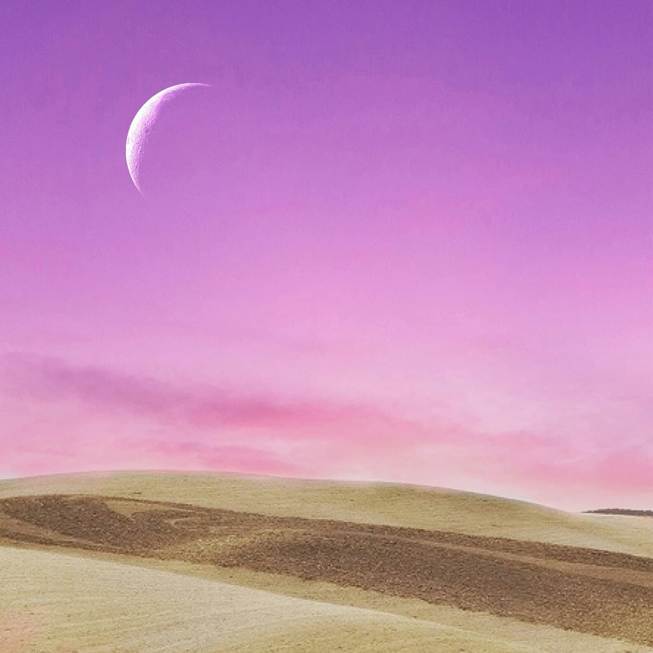 Having the Weirdest Dreams in Menopause? Here’s What’s Going On